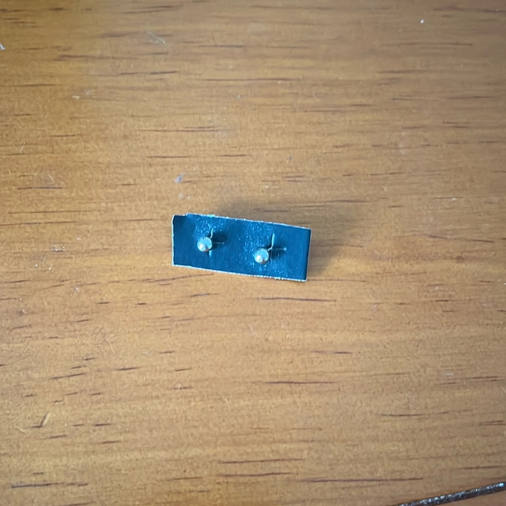 NWT Silver Stud Earrings
